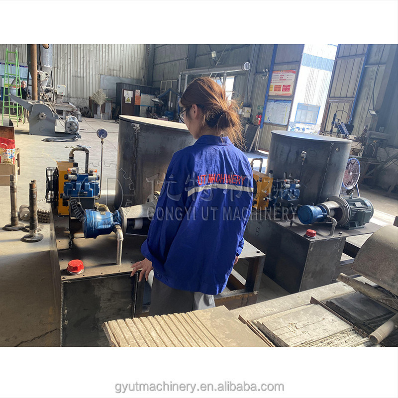 50 mm di diametro Biomassa idraulica Fregamenti di legno Straw Wood Briquetting Press Machine in USA Spagna