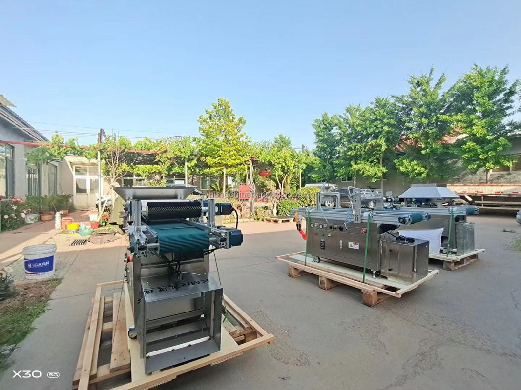 Tasso 98% Macchine automatiche per la semina di sementi per la semina di sementi di ortaggi nelle aziende agricole