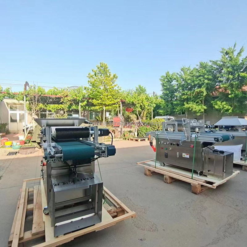 Seminatrice di pomodori 120 vassoio semina di lattuga semina di ortaggi seminatrice per vassoio di plastica