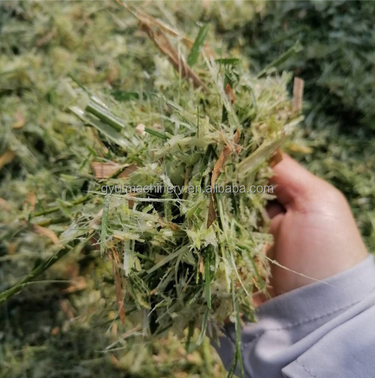 Mini tagliaforaggio di prima classe Tagliaerba per il taglio dell'erba del bestiame in Pakistan