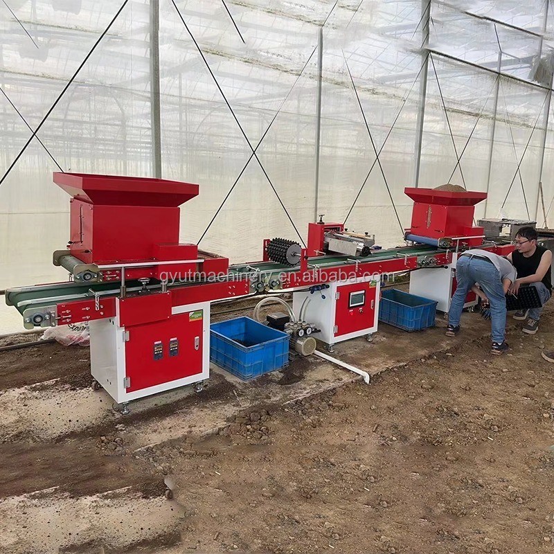 200 KG Full Automatic Seedling Machine per semi di lattuga