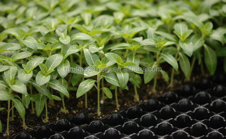 1140*850*1050mm Dimensione Agricoltura Microgreens Seeder Machine per la semina di pomodori