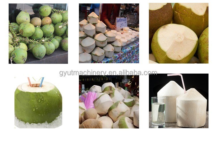 Aggiornate il vostro gioco di produzione di frammenti con 0,8kw Green Coconut Peeler Trimming Dehusker