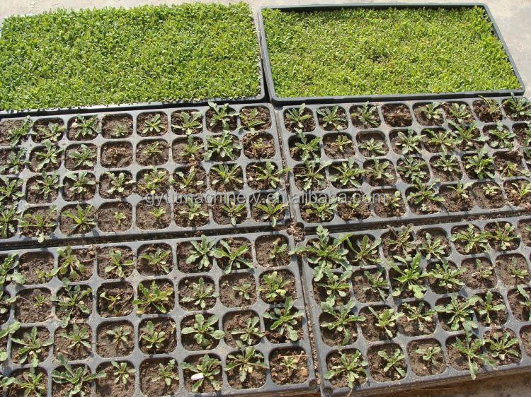 1140*850*1050mm Dimensione Agricoltura Microgreens Seeder Machine per la semina di pomodori