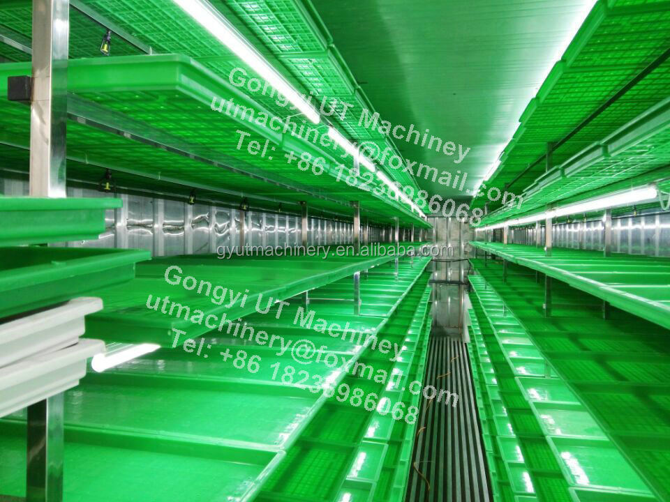 Tipo di contenitore Macchina per germogliare erba di semi di grano e di orzo per impianti di produzione