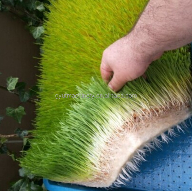 Macchine idroponiche per la coltivazione di microgreens di prima qualità per officine di riparazione di macchine