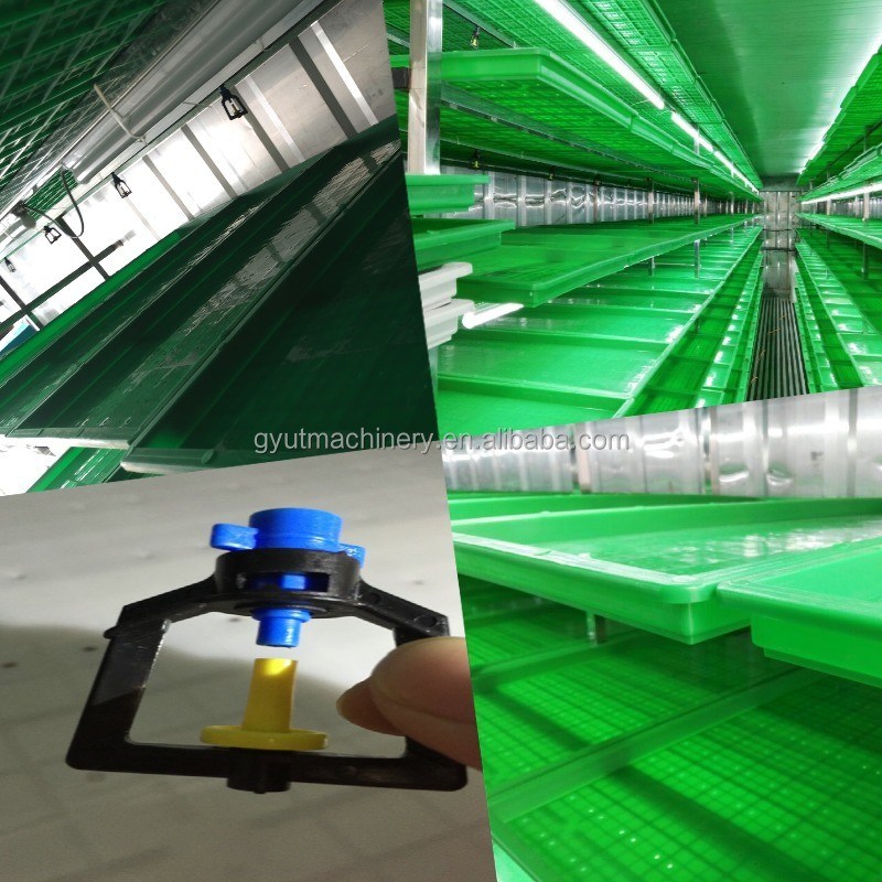 Macchina per germogliare mangimi idroponici da 2400w per la produzione di mangimi per pollame in 61*44*27cm