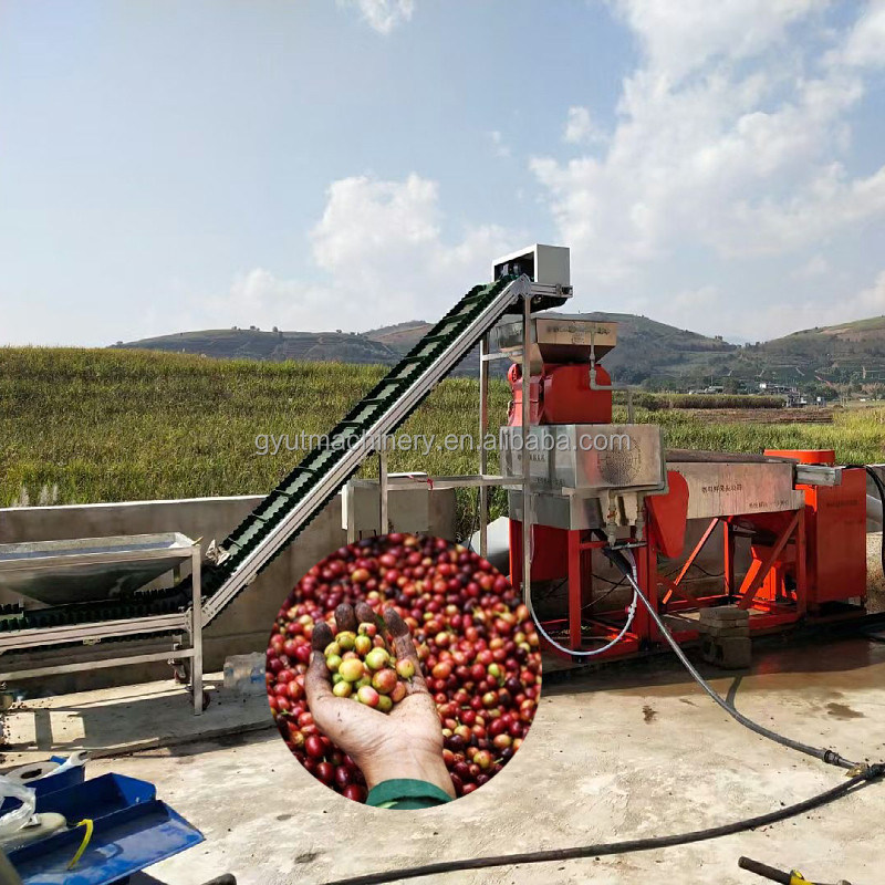 Macchina per pelare i chicchi di caffè/cacao per la produzione industriale a 910*730*1265mm