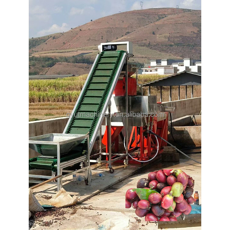 Linea di lavorazione a bassa energia di semi di caffè verde
