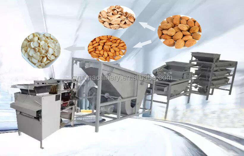 1.5KW Almond Huller Plant per il supporto online molto popolare Almond Shell Machine rotta